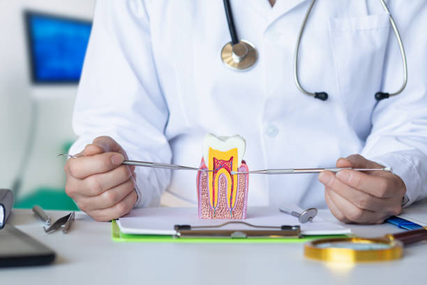 Best Emergency Dental Care for Broken or Chipped Teeth in Thorntown, IN